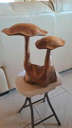 Dubbele houten  paddenstoel, Enlèvement