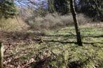 Bouwgrondstuk op een helling en bomenbestand, Mehren (15), Immo, Étranger, Terrain ou Parcelle, Allemagne, Campagne