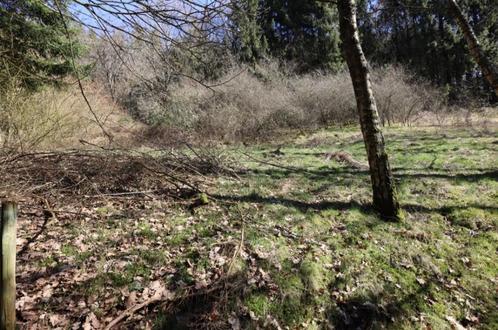 Bouwgrondstuk op een helling en bomenbestand, Mehren (15), Immo, Étranger, Allemagne, Terrain ou Parcelle, Campagne