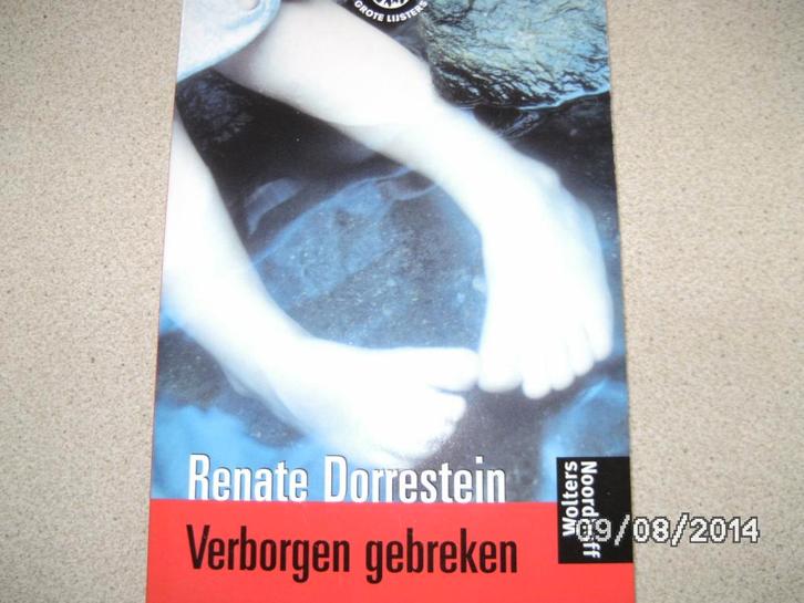 Een roman "Verborgen gebreken", Boeken, Romans, Nieuw, Nederland, Ophalen of Verzenden