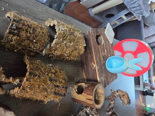 Hamster verblijf, Dieren en Toebehoren, Knaagdieren en Konijnen | Toebehoren, Gebruikt, Overige typen, Ophalen