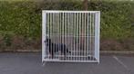 Cage extérieur pour chien, Dieren en Toebehoren, Honden-accessoires, Ophalen