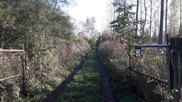 3 hectare BOS (inclusief vijver van 10 are) beschikbaar voor biedingen