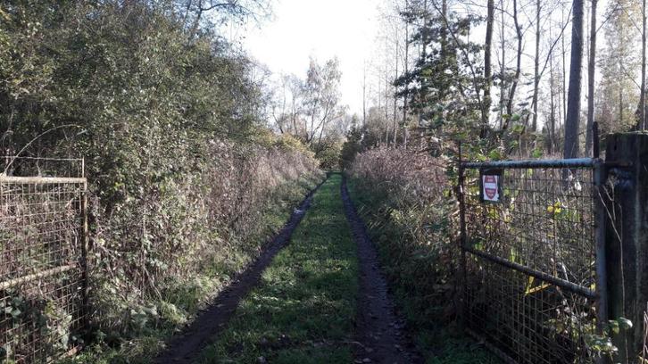 3 hectare BOS (inclusief vijver van 10 are), Immo, Gronden en Bouwgronden, Verkoop zonder makelaar