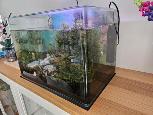 Aquarium te koop met accessoires, Dieren en Toebehoren, Vissen | Aquaria en Toebehoren, Gebruikt, Gevuld zoetwateraquarium, Ophalen