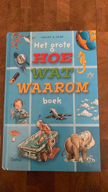 Het grote hoe wat waarom boek disponible aux enchères