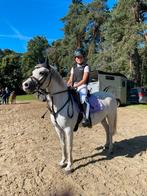 B-pony, Merrie, B