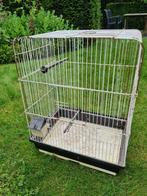 vogelkooi H60, Dieren en Toebehoren, Vogels | Hokken en Kooien, Ophalen, Gebruikt, Metaal, Vogelkooi