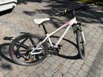 MTB dames Bergamont maat 38, Gebruikt, Hardtail, Dames, Ophalen