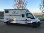 Renault 2 paard camionette dubbel cabine, Dieren en Toebehoren, Ophalen of Verzenden, Polyester