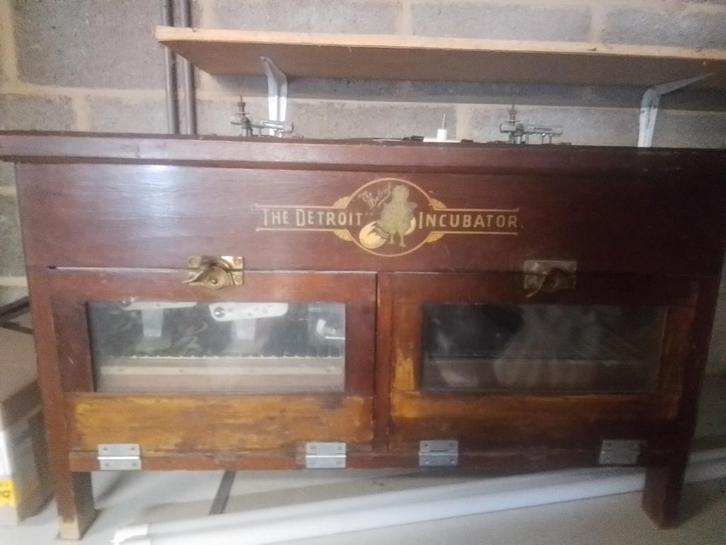 Broedmachine, Animaux & Accessoires, Volatiles | Accessoires, Couveuse, Enlèvement