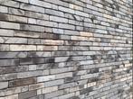 Gevelstenen Brick W (Vande Moortel) NIEUWSTAAT, Bricolage & Construction, Enlèvement, Neuf