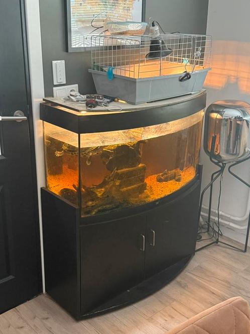 Juwel aquarium 200 liter incl. 2 volwassen schildpadden, Dieren en Toebehoren, Reptielen en Amfibieën | Toebehoren, Gebruikt, Terrarium of Paludarium