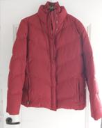 Bordeaux jas Esprit maat XL, Kleding | Dames, Jassen | Winter, Esprit, Ophalen of Verzenden, Zo goed als nieuw, Maat 42/44 (L)