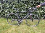Koersfiets Massini in nieuwstaat, Carbon, Heren, Nieuw, 49 tot 53 cm
