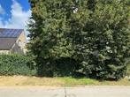 Grond te koop in Westerlo, Immo, 1000 tot 1500 m²