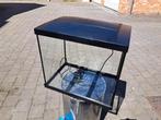 Leeg aquarium SuperFishstart50.Zie ook mijn andere zoekertje, Ophalen, Zo goed als nieuw, Leeg aquarium