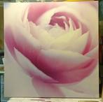 Cadre IKEA., Enlèvement, Utilisé