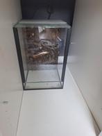 Terrarium met achtergrond, Ophalen, Zo goed als nieuw, Terrarium of Paludarium