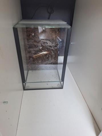 Terrarium met achtergrond beschikbaar voor biedingen