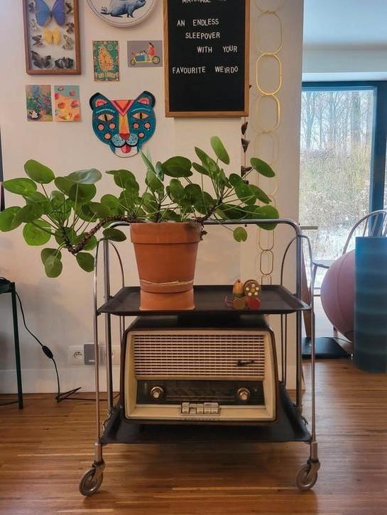 Vintage Gerlinol trolley, Huis en Inrichting, Kasten | Overige, Gebruikt, Ophalen