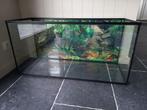 Aquarium 100cm x 40cm met filterpompje, Dieren en Toebehoren, Gebruikt, Ophalen