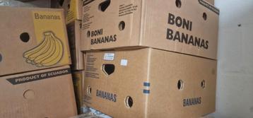 10 boîtes à bananes 
