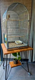 Antieke (vintage /retro) vogelkooi, Ophalen, Zo goed als nieuw, Vogelkooi