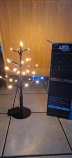 Sapin led, Divers