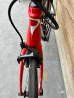 Pinarello gan di2 ultegra, Ophalen, Carbon