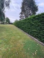 Entretien du jardin, Ophalen of Verzenden, Zo goed als nieuw