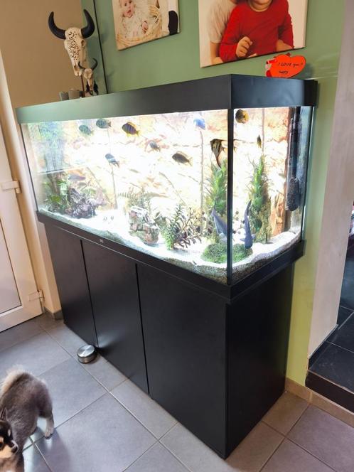 Aquarium, Dieren en Toebehoren, Vissen | Aquaria en Toebehoren, Zo goed als nieuw, Gevuld zoetwateraquarium, Ophalen