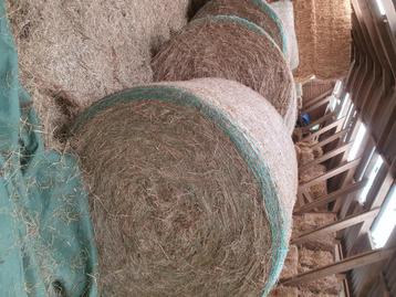 Boules foin 2024 300kg beschikbaar voor biedingen