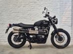 Triumph Bonneville  Street Scrambler 900 @motomobilia, Motoren, Motoren | Triumph, 2 cilinders, Motorrijbewijs A, Bedrijf, 900 cc