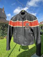 Harley Davidson lederen jas origineel, Motos, Harley davidson, Hommes, Manteau | cuir, Seconde main