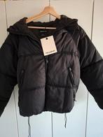 Nieuw prachtige zwarte winterjas Pull&Bear maat S, Kleding | Dames, Zwart, Nieuw, Ophalen of Verzenden, Maat 36 (S)