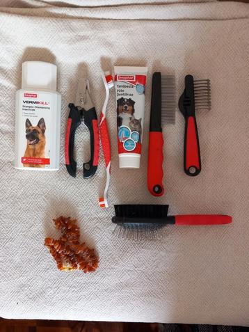 Divers accessoires pour chien