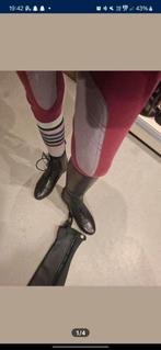 ariat schoenen en quur chaps, Dieren en Toebehoren, Ophalen, Nieuw, Springen, Dames