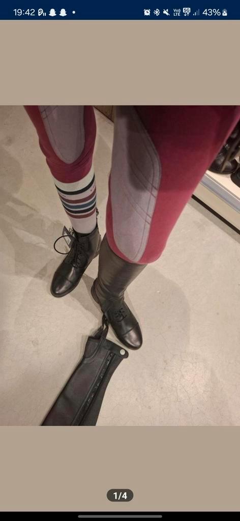 ariat schoenen en quur chaps, Dieren en Toebehoren, Paardrijkleding, Nieuw, Dames, Schoeisel, Springen, Ophalen