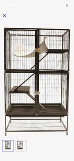 Kooi, Dieren en Toebehoren, Knaagdieren, Juli, Chinchilla