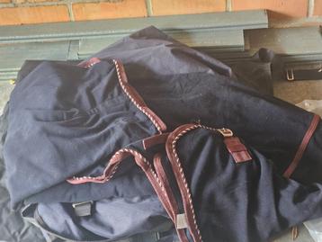 Lot paardenspullen te koop beschikbaar voor biedingen