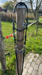 Hoofdstel cob, Dieren en Toebehoren, Ophalen of Verzenden, Zo goed als nieuw