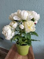fleurs artificielles blanches dans un pot vert, Comme neuf, Intérieur, Enlèvement
