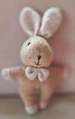 Klein konijntje, Ophalen of Verzenden, Gebruikt, Konijn