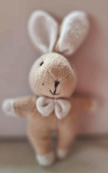 Klein konijntje beschikbaar voor biedingen