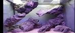 3D modules rotsen aquarium (Arstone), Dieren en Toebehoren, Zo goed als nieuw, Ophalen