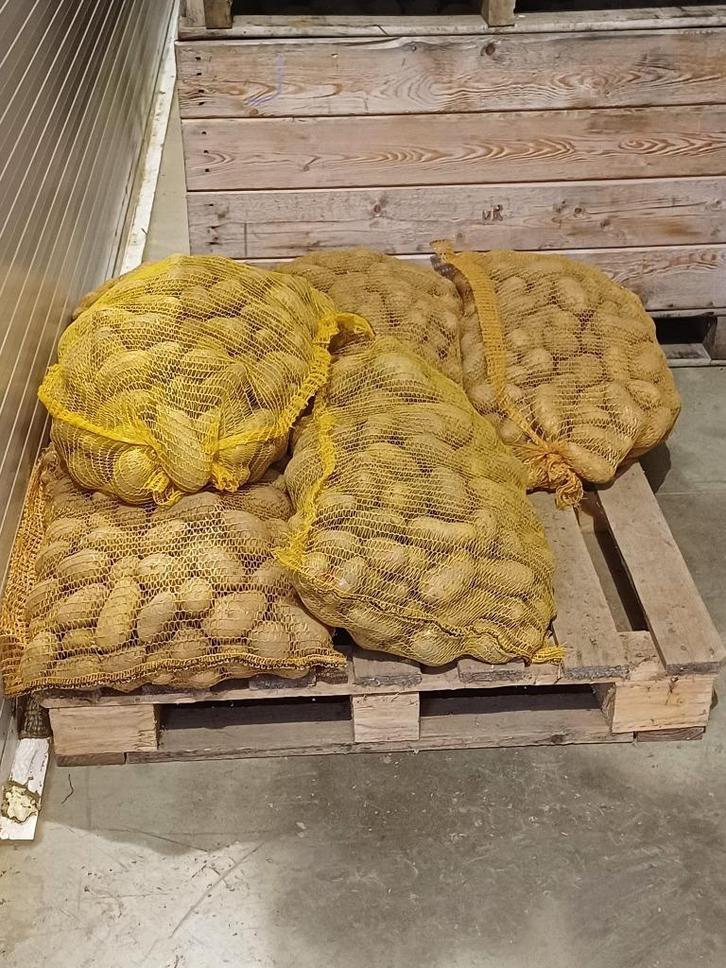 Aardappelen, Articles professionnels, Agriculture | Pommes de terre, Légumes, Fruits & Viande, Enlèvement