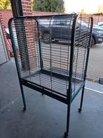 Grote vogelkooi, Dieren en Toebehoren, Ophalen