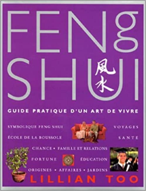 Feng shui guide pratique d'un art de vivre Lilian Too, Livres, Ésotérisme & Spiritualité, Comme neuf, Enlèvement ou Envoi