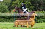 Allrounder/ eventingpaard (PRIJS GEWIJZIGD), Merrie, Springpaard, Niet van toepassing, Ontwormd